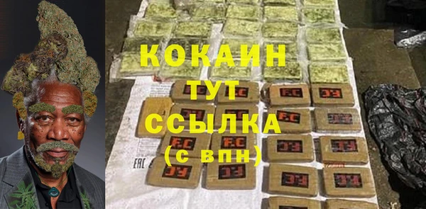 эйфоретик Богданович