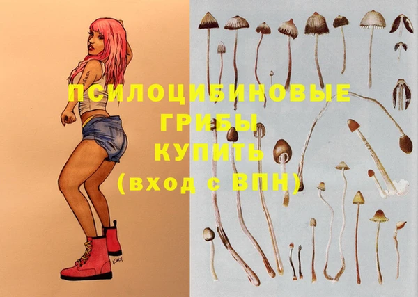 MDMA Premium VHQ Богородск