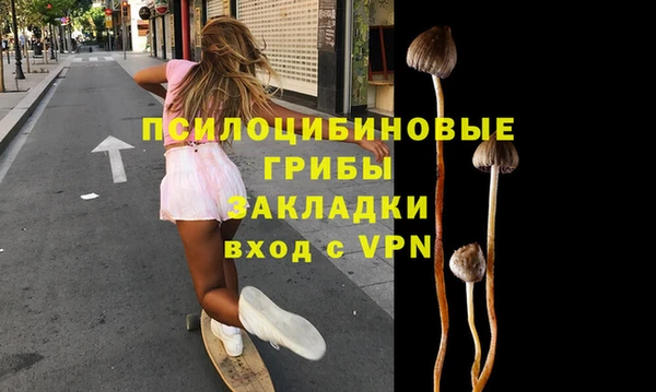 эйфоретик Богданович